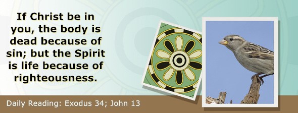 https://bibletruthpublishers.com/ComfortOfScriptures/wp-content/uploads/cos-hdg-2026-082.jpg
