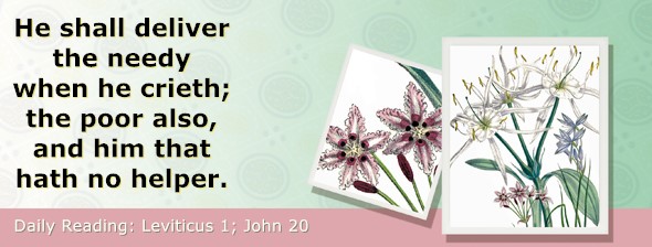 https://bibletruthpublishers.com/ComfortOfScriptures/wp-content/uploads/cos-hdg-2026-089.jpg