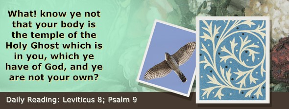 https://bibletruthpublishers.com/ComfortOfScriptures/wp-content/uploads/cos-hdg-2026-095.jpg