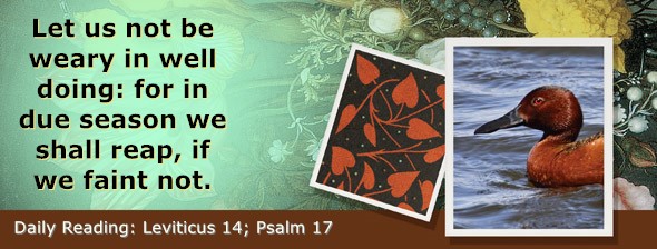 https://bibletruthpublishers.com/ComfortOfScriptures/wp-content/uploads/cos-hdg-2026-100.jpg
