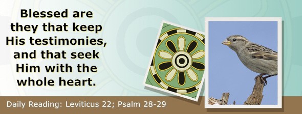 https://bibletruthpublishers.com/ComfortOfScriptures/wp-content/uploads/cos-hdg-2026-108.jpg