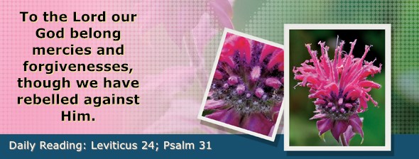 https://bibletruthpublishers.com/ComfortOfScriptures/wp-content/uploads/cos-hdg-2026-110.jpg