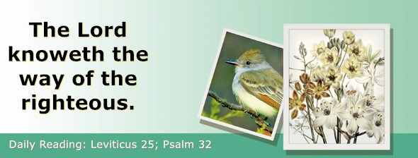 https://bibletruthpublishers.com/ComfortOfScriptures/wp-content/uploads/cos-hdg-2026-111.jpg