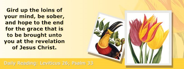 https://bibletruthpublishers.com/ComfortOfScriptures/wp-content/uploads/cos-hdg-2026-112.jpg