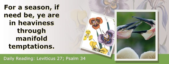 https://bibletruthpublishers.com/ComfortOfScriptures/wp-content/uploads/cos-hdg-2026-113.jpg