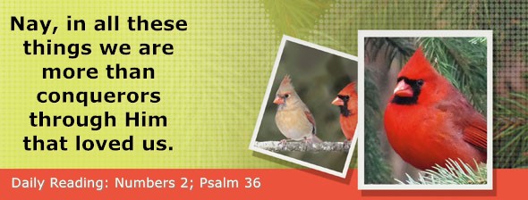 https://bibletruthpublishers.com/ComfortOfScriptures/wp-content/uploads/cos-hdg-2026-115.jpg