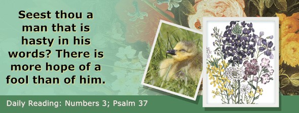https://bibletruthpublishers.com/ComfortOfScriptures/wp-content/uploads/cos-hdg-2026-116.jpg