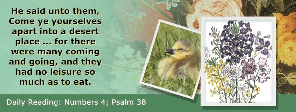 https://bibletruthpublishers.com/ComfortOfScriptures/wp-content/uploads/cos-hdg-2026-117.jpg