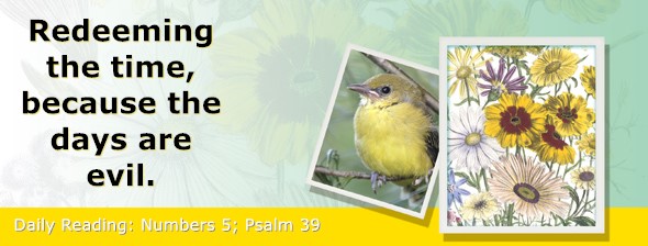 https://bibletruthpublishers.com/ComfortOfScriptures/wp-content/uploads/cos-hdg-2026-118.jpg