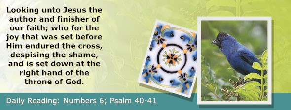 https://bibletruthpublishers.com/ComfortOfScriptures/wp-content/uploads/cos-hdg-2026-119.jpg