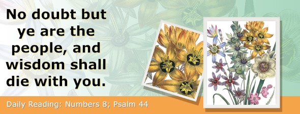 https://bibletruthpublishers.com/ComfortOfScriptures/wp-content/uploads/cos-hdg-2026-121.jpg