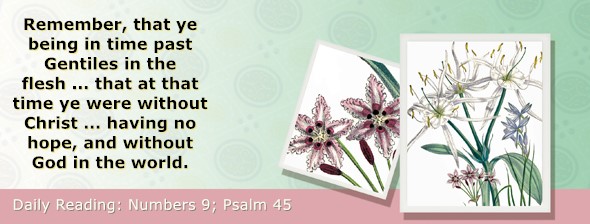 https://bibletruthpublishers.com/ComfortOfScriptures/wp-content/uploads/cos-hdg-2026-122.jpg