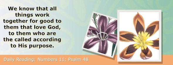 https://bibletruthpublishers.com/ComfortOfScriptures/wp-content/uploads/cos-hdg-2026-124.jpg