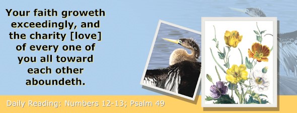 https://bibletruthpublishers.com/ComfortOfScriptures/wp-content/uploads/cos-hdg-2026-125.jpg