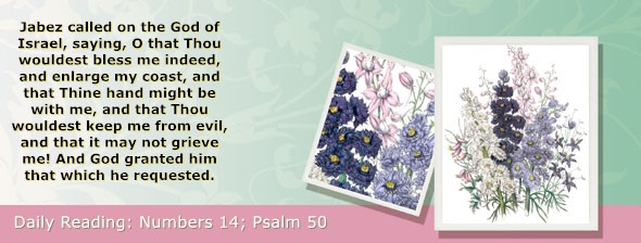 https://bibletruthpublishers.com/ComfortOfScriptures/wp-content/uploads/cos-hdg-2026-126.jpg