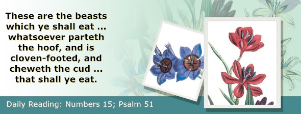 https://bibletruthpublishers.com/ComfortOfScriptures/wp-content/uploads/cos-hdg-2026-127.jpg