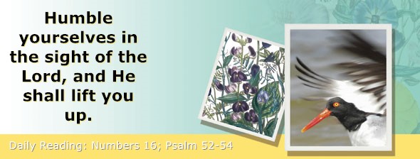 https://bibletruthpublishers.com/ComfortOfScriptures/wp-content/uploads/cos-hdg-2026-128.jpg
