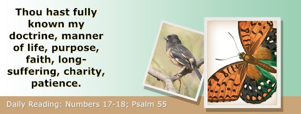 https://bibletruthpublishers.com/ComfortOfScriptures/wp-content/uploads/cos-hdg-2026-129.jpg