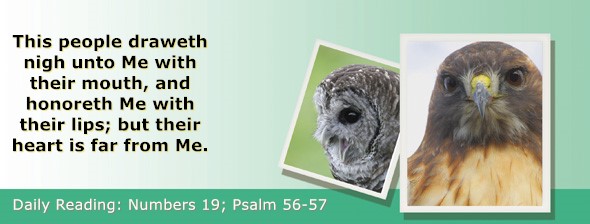 https://bibletruthpublishers.com/ComfortOfScriptures/wp-content/uploads/cos-hdg-2026-130.jpg