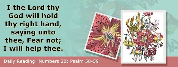 https://bibletruthpublishers.com/ComfortOfScriptures/wp-content/uploads/cos-hdg-2026-131.jpg