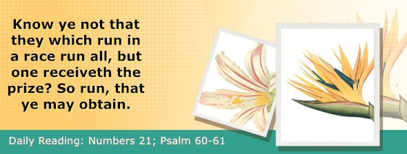 https://bibletruthpublishers.com/ComfortOfScriptures/wp-content/uploads/cos-hdg-2026-132.jpg