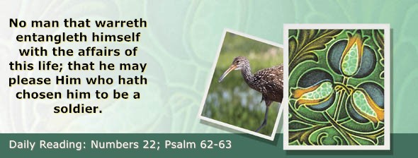 https://bibletruthpublishers.com/ComfortOfScriptures/wp-content/uploads/cos-hdg-2026-133.jpg