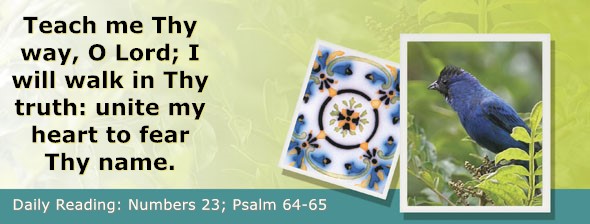 https://bibletruthpublishers.com/ComfortOfScriptures/wp-content/uploads/cos-hdg-2026-134.jpg