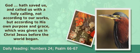 https://bibletruthpublishers.com/ComfortOfScriptures/wp-content/uploads/cos-hdg-2026-135.jpg