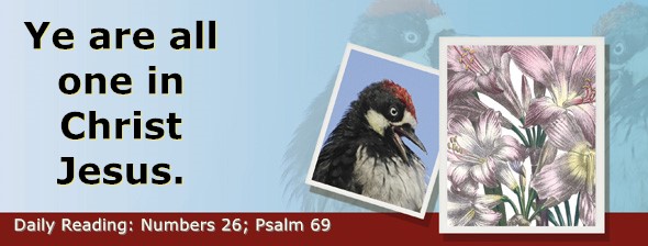 https://bibletruthpublishers.com/ComfortOfScriptures/wp-content/uploads/cos-hdg-2026-137.jpg