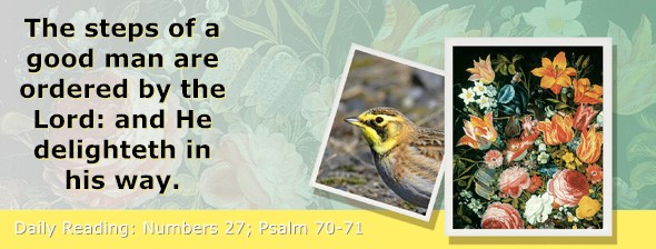 https://bibletruthpublishers.com/ComfortOfScriptures/wp-content/uploads/cos-hdg-2026-138.jpg