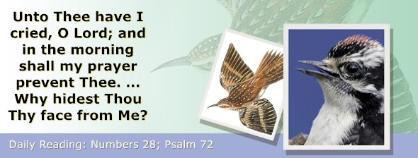 https://bibletruthpublishers.com/ComfortOfScriptures/wp-content/uploads/cos-hdg-2026-139.jpg