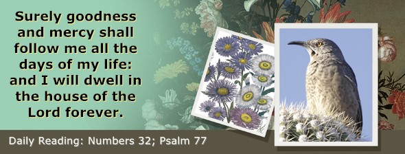https://bibletruthpublishers.com/ComfortOfScriptures/wp-content/uploads/cos-hdg-2026-143.jpg