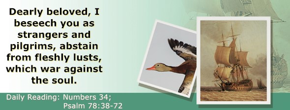 https://bibletruthpublishers.com/ComfortOfScriptures/wp-content/uploads/cos-hdg-2026-145.jpg