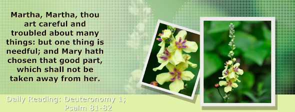 https://bibletruthpublishers.com/ComfortOfScriptures/wp-content/uploads/cos-hdg-2026-148.jpg