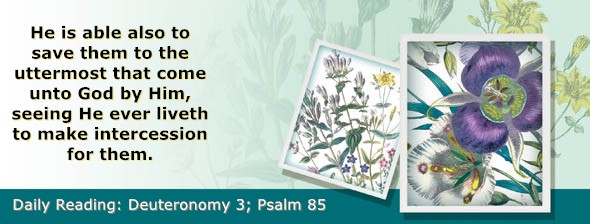 https://bibletruthpublishers.com/ComfortOfScriptures/wp-content/uploads/cos-hdg-2026-150.jpg