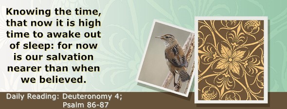 https://bibletruthpublishers.com/ComfortOfScriptures/wp-content/uploads/cos-hdg-2026-151.jpg