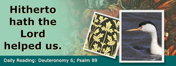 https://bibletruthpublishers.com/ComfortOfScriptures/wp-content/uploads/cos-hdg-2026-153.jpg