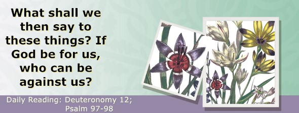 https://bibletruthpublishers.com/ComfortOfScriptures/wp-content/uploads/cos-hdg-2026-159.jpg