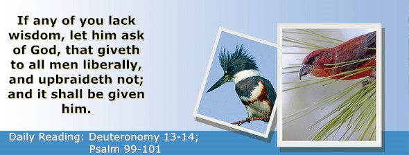 https://bibletruthpublishers.com/ComfortOfScriptures/wp-content/uploads/cos-hdg-2026-160.jpg