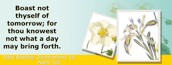 https://bibletruthpublishers.com/ComfortOfScriptures/wp-content/uploads/cos-hdg-2026-161.jpg