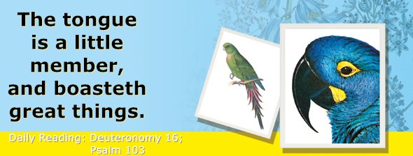 https://bibletruthpublishers.com/ComfortOfScriptures/wp-content/uploads/cos-hdg-2026-162.jpg