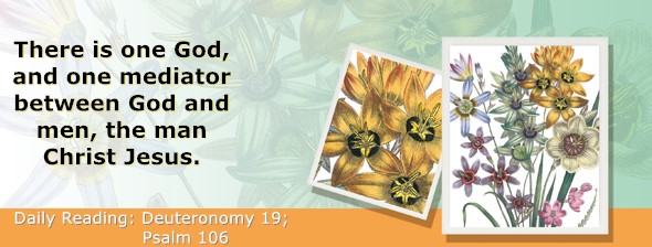https://bibletruthpublishers.com/ComfortOfScriptures/wp-content/uploads/cos-hdg-2026-165.jpg