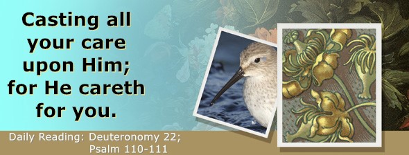 https://bibletruthpublishers.com/ComfortOfScriptures/wp-content/uploads/cos-hdg-2026-168.jpg