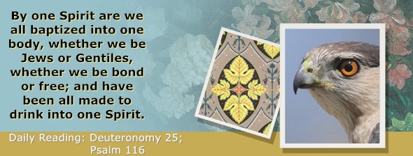 https://bibletruthpublishers.com/ComfortOfScriptures/wp-content/uploads/cos-hdg-2026-171.jpg