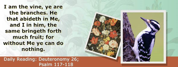 https://bibletruthpublishers.com/ComfortOfScriptures/wp-content/uploads/cos-hdg-2026-172.jpg