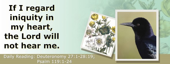 https://bibletruthpublishers.com/ComfortOfScriptures/wp-content/uploads/cos-hdg-2026-173.jpg