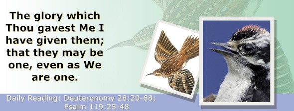 https://bibletruthpublishers.com/ComfortOfScriptures/wp-content/uploads/cos-hdg-2026-174.jpg