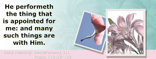 https://bibletruthpublishers.com/ComfortOfScriptures/wp-content/uploads/cos-hdg-2026-177.jpg