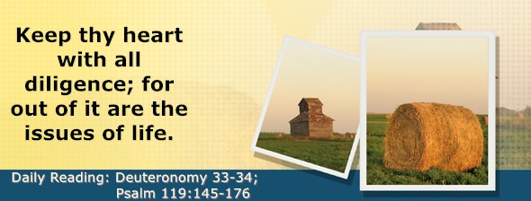 https://bibletruthpublishers.com/ComfortOfScriptures/wp-content/uploads/cos-hdg-2026-179.jpg