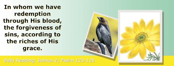 https://bibletruthpublishers.com/ComfortOfScriptures/wp-content/uploads/cos-hdg-2026-181.jpg